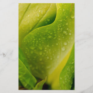 Flora Dominica 3 Stationery