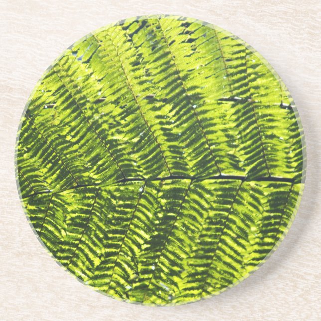 Flora Dominica 5 Coaster (Front)