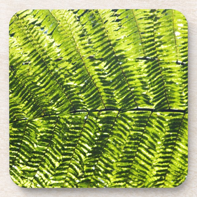 Flora Dominica 5 Coaster (Front)
