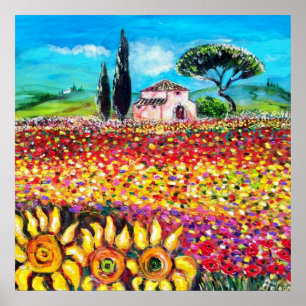 FLORA IN TUSCANY/ Fields ,Poppies and Sunflowers Poster