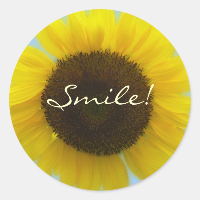 Flora Photo - Bright and cheerful sunflower Classic Round Sticker (Front)