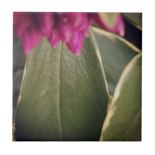 Flora Tile- Daphne Ceramic Tile