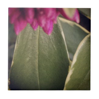 Flora Tile- Daphne Ceramic Tile