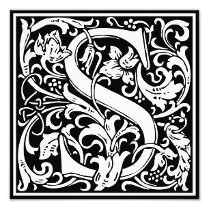 Floral Alphabet Monogram Letter S Photo Print