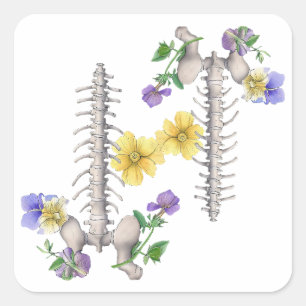 Floral Anatomy - Vertebrae, Hip Bone Square Sticker