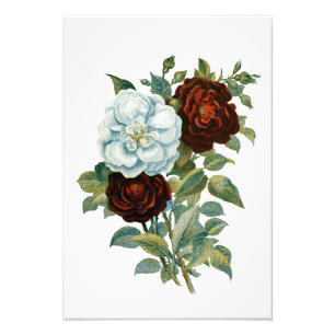 Floral and Elegant Vintage Bouquet Photo Print