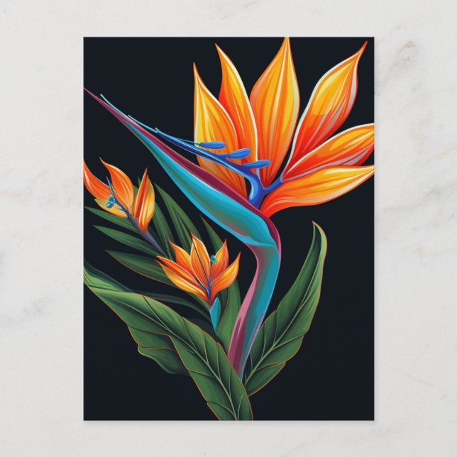 FLORAL ART # 11 Gift Box Postcard (Front)