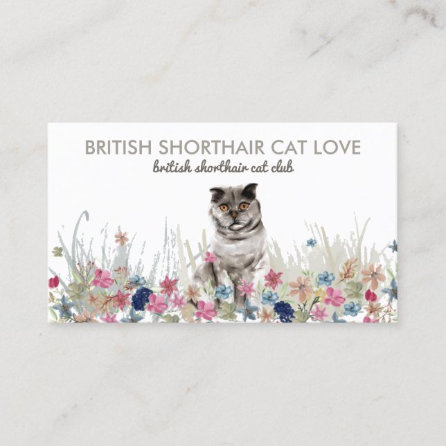 Floral Back British Shorthair cute cat Business Card (Front)
