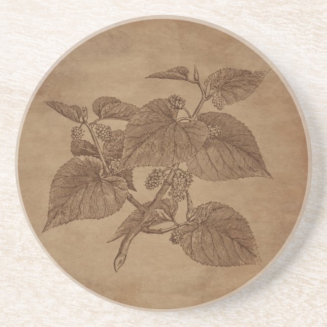 Floral Berries Engraving on Aged Paper Coaster (Front)