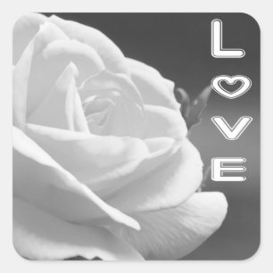 Floral Black and White Rose Flower Love Square Sticker