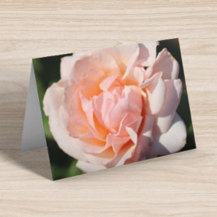 Floral Blank Inside Pretty Peach Elegant Folded Note Card