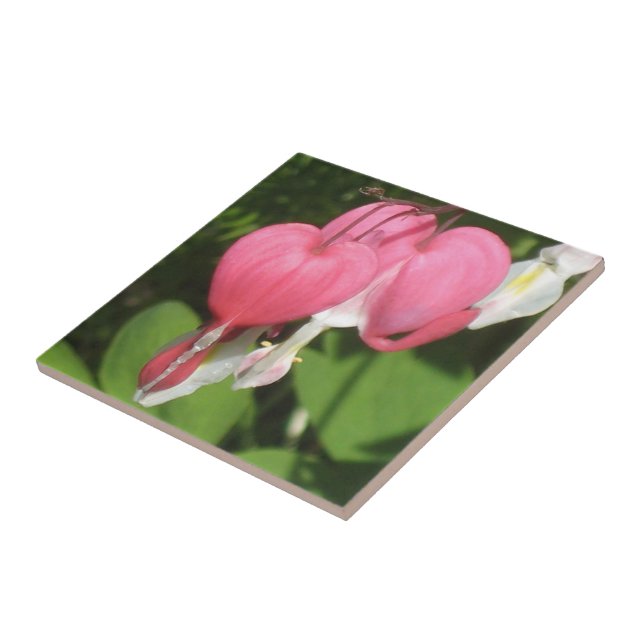 Floral Bleeding Heart Small Ceramic Photo Tile (Side)