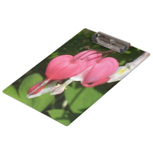 Floral Bleeding Heart - Sturdy Acrylic Clipboard