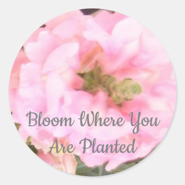 Floral - Bloom Where You Are Planted Classic Round Sticker (Front)