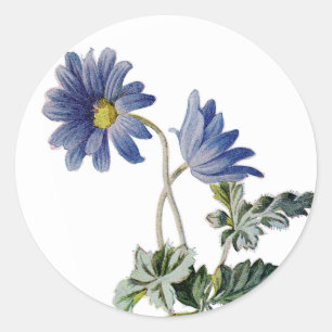 Floral Blue Daisy Flowers Watercolor Wedding Classic Round Sticker