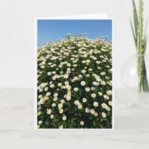 Floral Burst Pattern Card