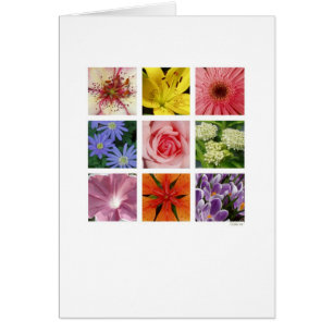 Floral Card