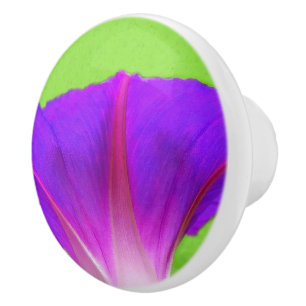 Floral  ceramic knob