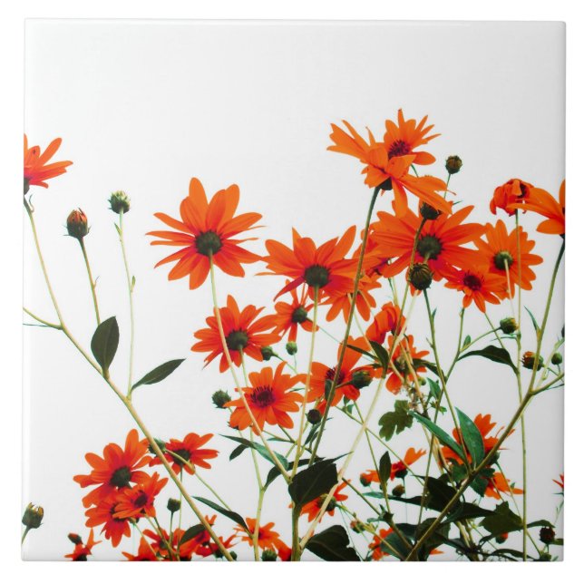 floral ceramic tile (Front)