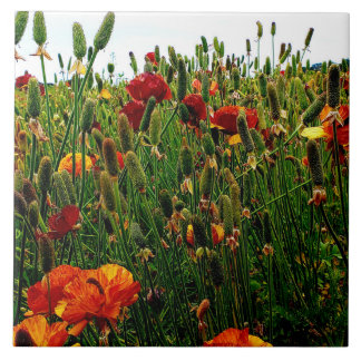 Floral Ceramic Tile: Flower Fields, Carlsbad CA. Tile