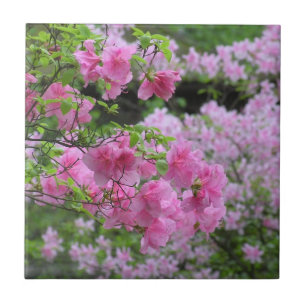 FLORAL CERAMIC TILE/ PINK AZALEAS TILE