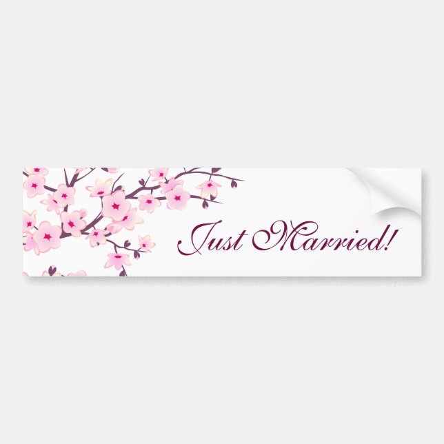 Floral Cherry Blossoms Pink White Newlyweds Bumper Sticker (Front)