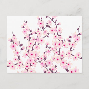 Floral Cherry Blossoms (Sakura) Postcard