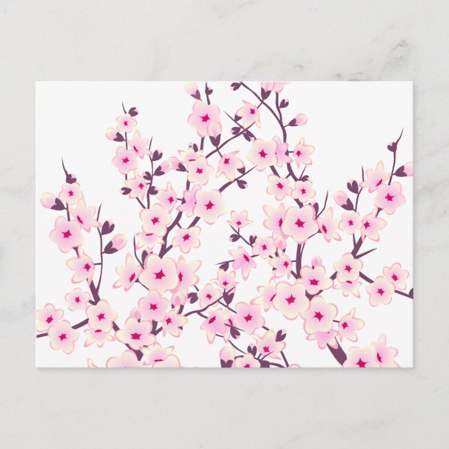 Floral Cherry Blossoms (Sakura) Postcard (Front)
