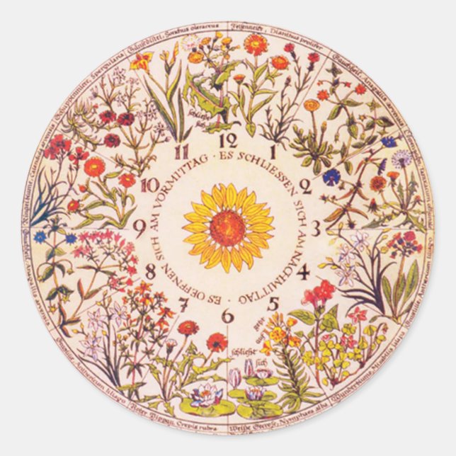 Floral Clock Garden Planting  Classic Round Sticker (Front)