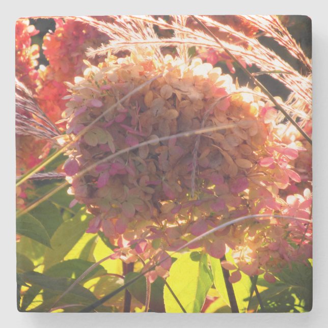 Floral: Coaster with vivid pink hydrangeas (Front)