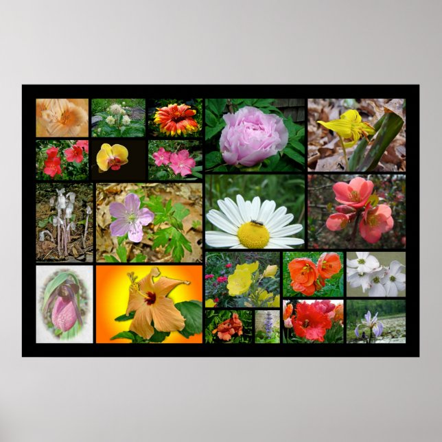 Floral Collage #2 Poster (Front)