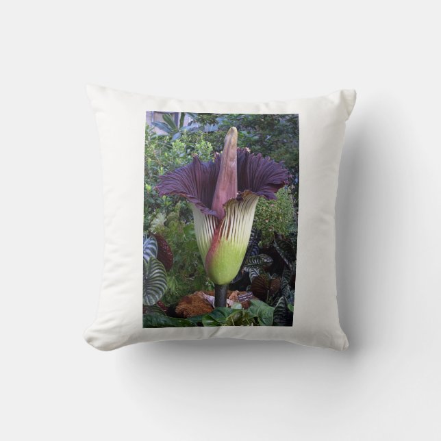 Floral Cusion Cushion (Front)