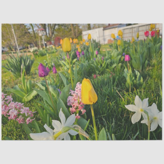 Floral Custom Tissue Paper (Front)