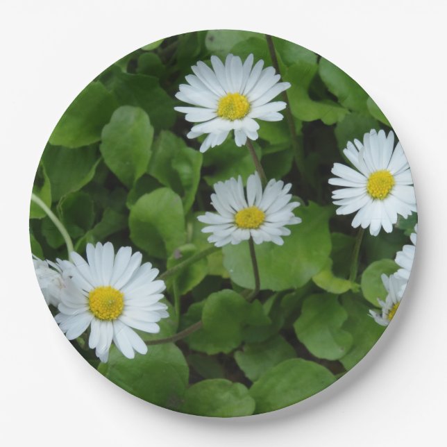 Floral Daisy Custom Paper Plates 9 in (Front)