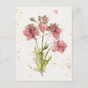 Floral Dark Pink Splash Postcard