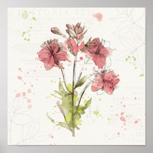 Floral Dark Pink Splash Poster
