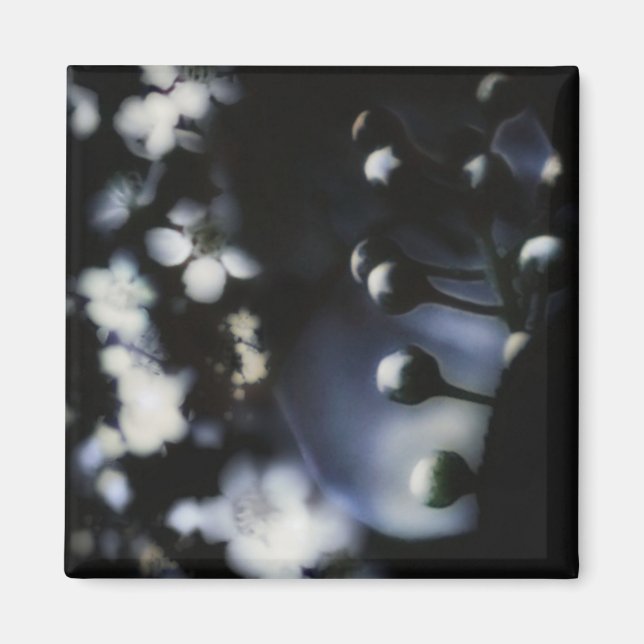 Floral Deep Magnet (Front)