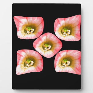 Floral Delight Plaque