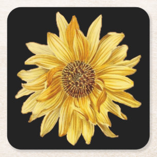 Floral design, sunflowers, black background square paper coaster