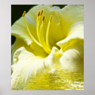 Floral Digital Art Poster