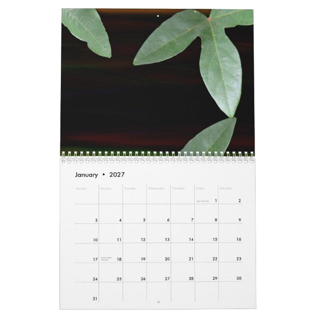 Floral Dreams 2009 Calendar (Jan 2027)