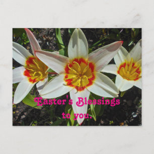 Floral Easter Blessings Holiday Postcard