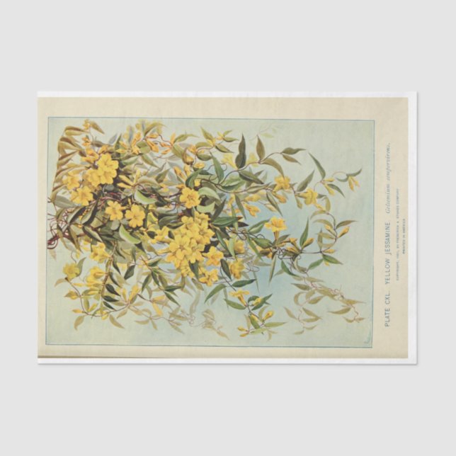 Floral Ephemera Decoupage Jasmine Sunflowers Tissue Paper (Front)