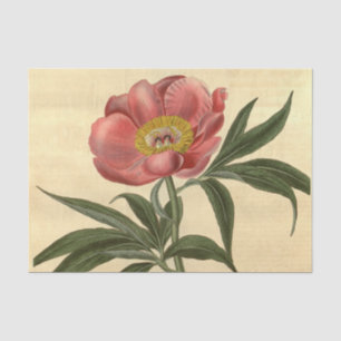 Floral Ephemera Decoupage Pink Flower Tissue Paper