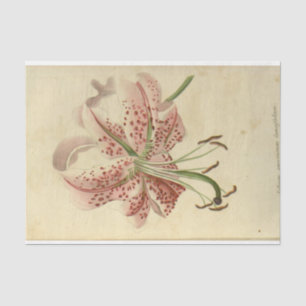 Floral Ephemera Decoupage Pink Flowers Tissue Paper