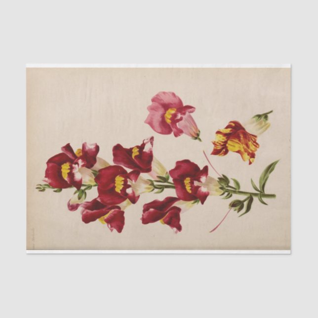 Floral Ephemera Decoupage Pink Flowers Tissue Paper (Front)