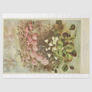 Floral Ephemera Decoupage Pink Hydrangeas Tissue Paper