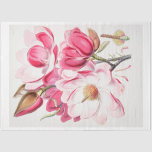 Floral Ephemera Decoupage Pink Magnolia Flowers Tissue Paper