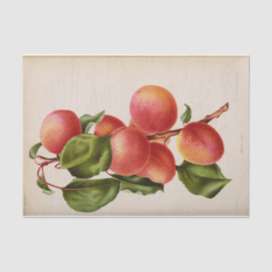 Floral Ephemera Decoupage Pink Peach Tissue Paper