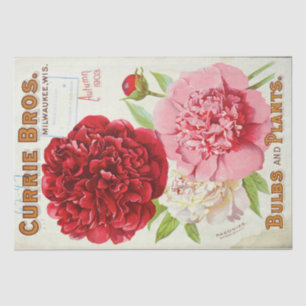 Floral Ephemera Decoupage Pink Peony Vintage  Tissue Paper